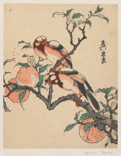 Pomegranates and birds by Keisai Eisen